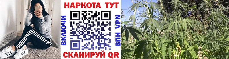 МЕТАДОН Батайск
